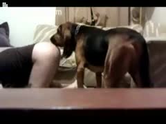 The pleased dog rumps the dude.